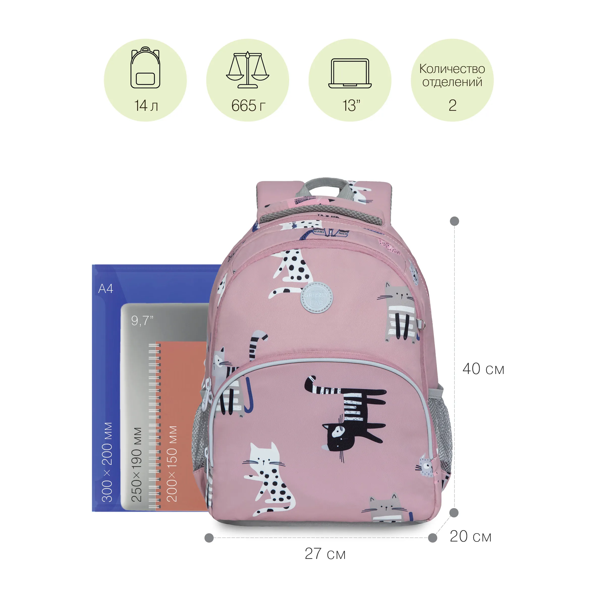 RG-260-8 Рюкзак школьный