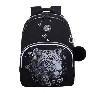 RG-660-4 Рюкзак школьный с обвесом (/2 черный - серебро)